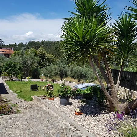 Pensjonat Domaine De La Quinta Fenix - Familial Avec Cuisine Cerejeiras