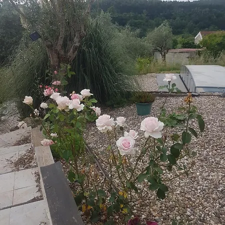 Pensjonat Domaine De La Quinta Fenix - Familial Avec Cuisine Cerejeiras