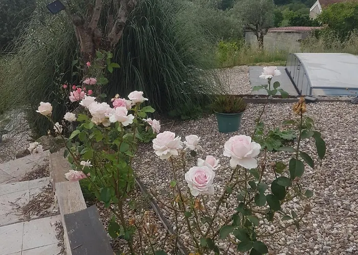 Penzion Domaine De La Quinta Fenix - Familial Avec Cuisine Cerejeiras
